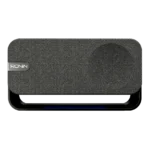 Ronin R-3030 Reverb Speaker